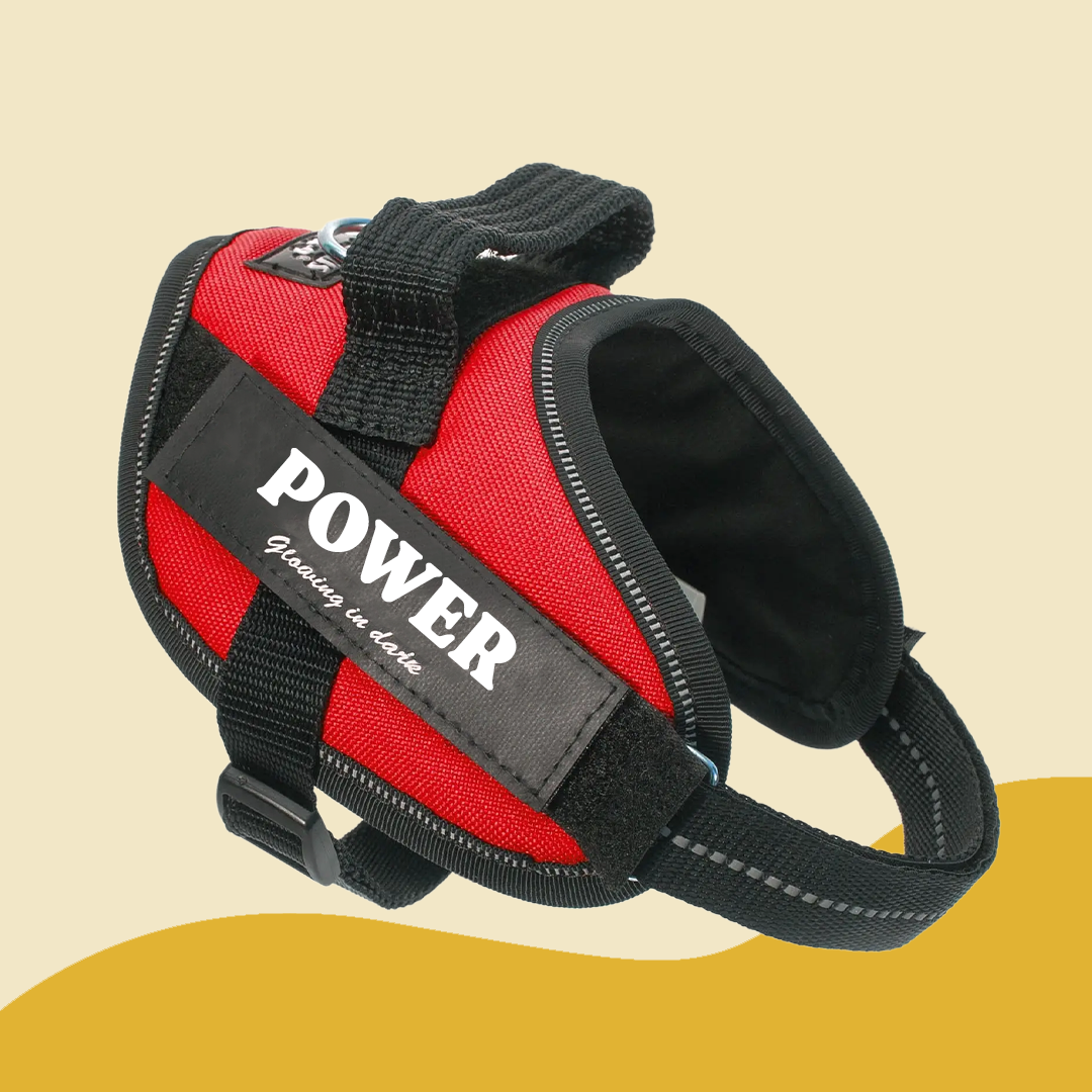 Powerharness