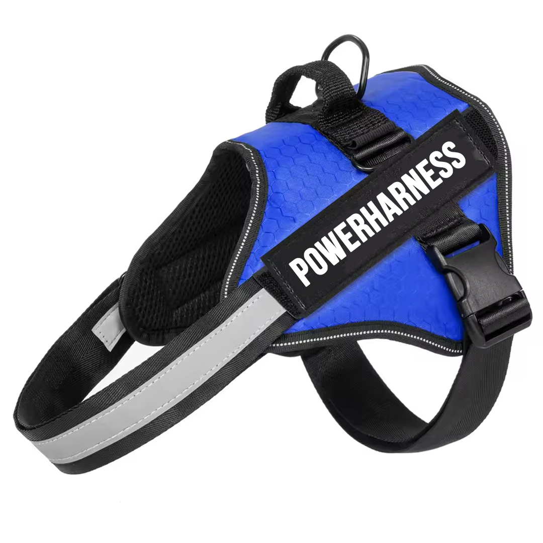 Powerharness