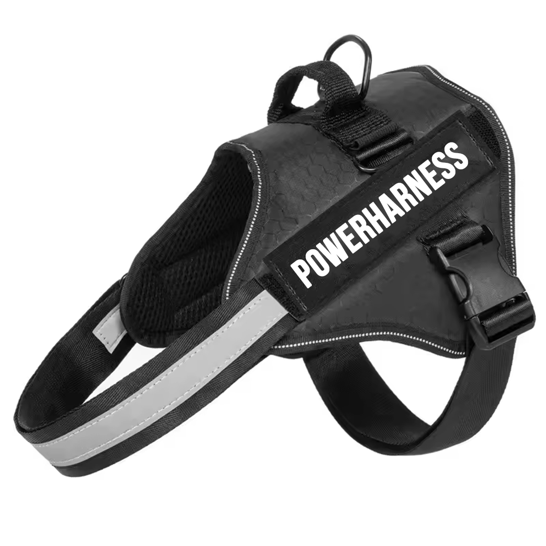 Powerharness
