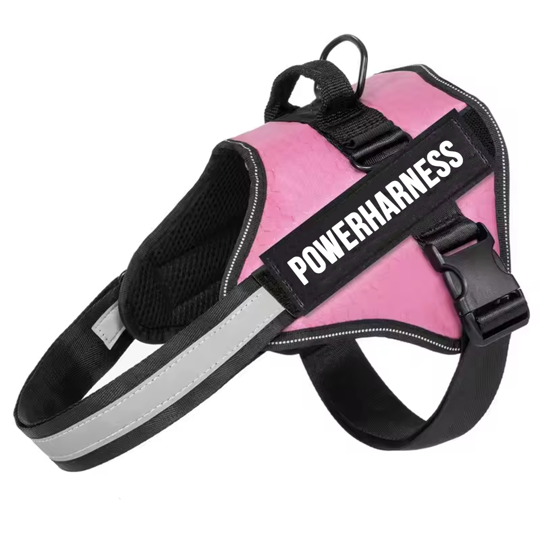 Powerharness
