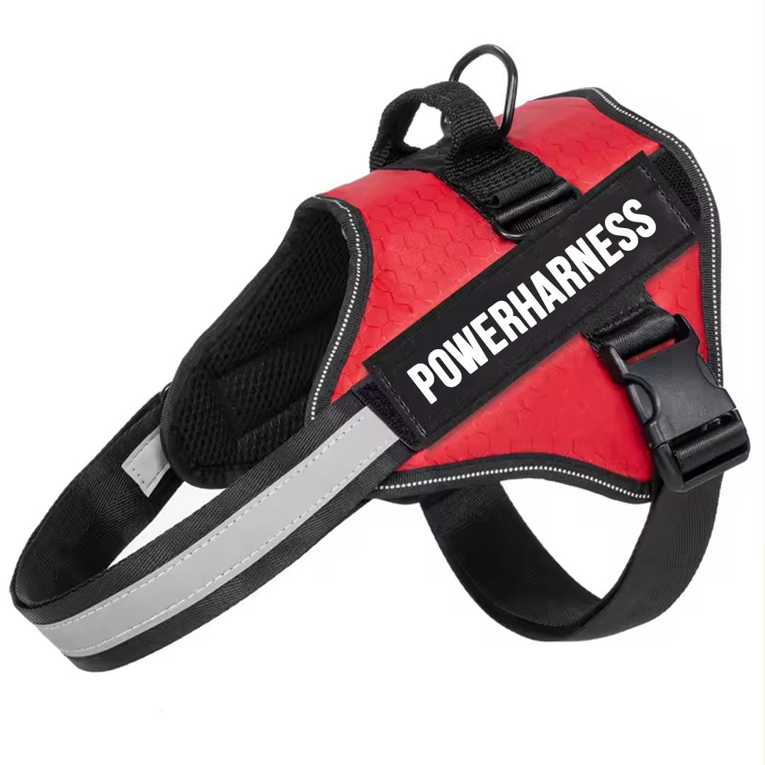 Powerharness